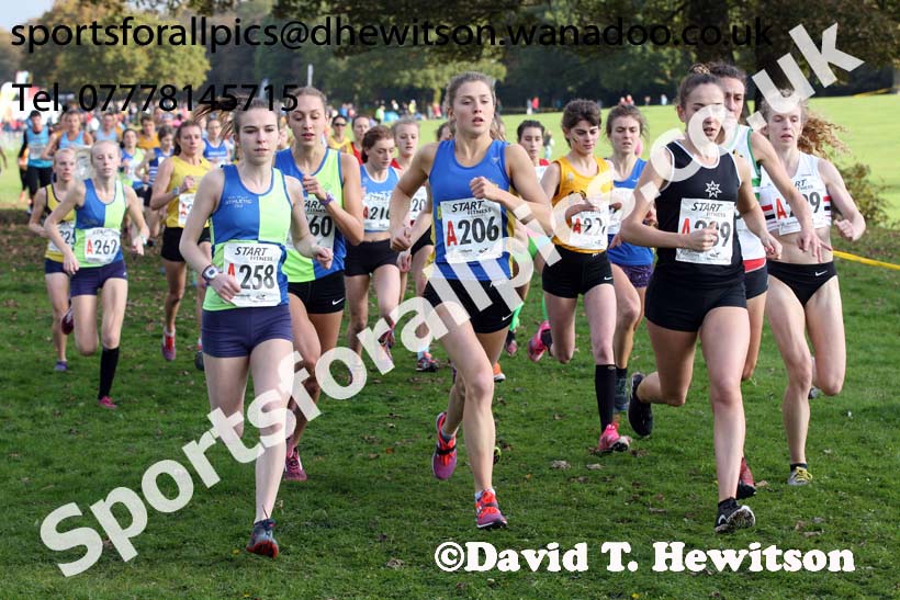 Senior womens Northern Cross Country Relays. Photo: David T. Hewitson/Sports for All Pics